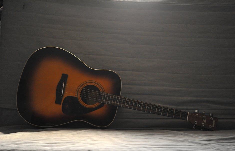 Quelles cordes guitare folk choisir : guide complet